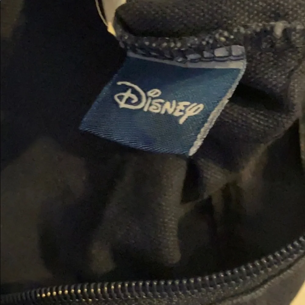 Disney Dreams Florida 2004 Tote Bag Mickey Donald Goofy Pluto Zip Reusable